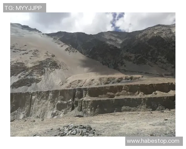 武汉足球队在钻石联赛中的崛起与挑战之路全景回顾