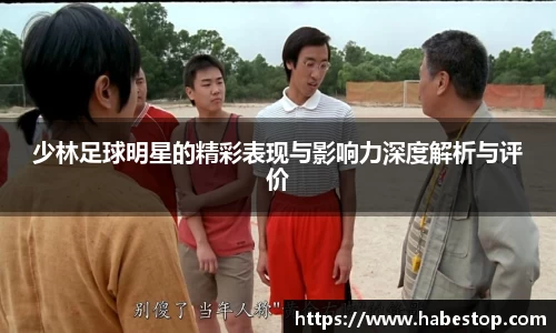 少林足球明星的精彩表现与影响力深度解析与评价